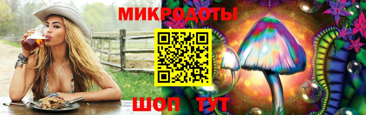 закладка  Вход с VPN  Советская Гавань  Псилоцибиновые грибы GOLDEN TEACHER 